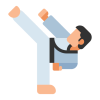 Taekwondo